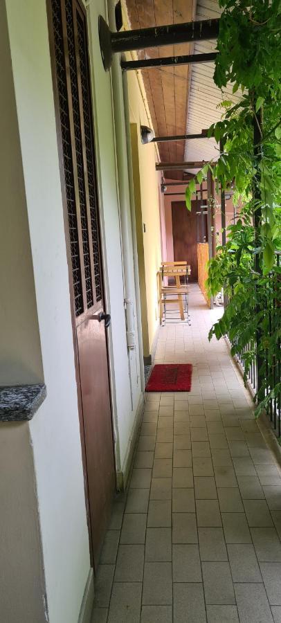 Musa Paradisiaca Turin Ngoại thất bức ảnh